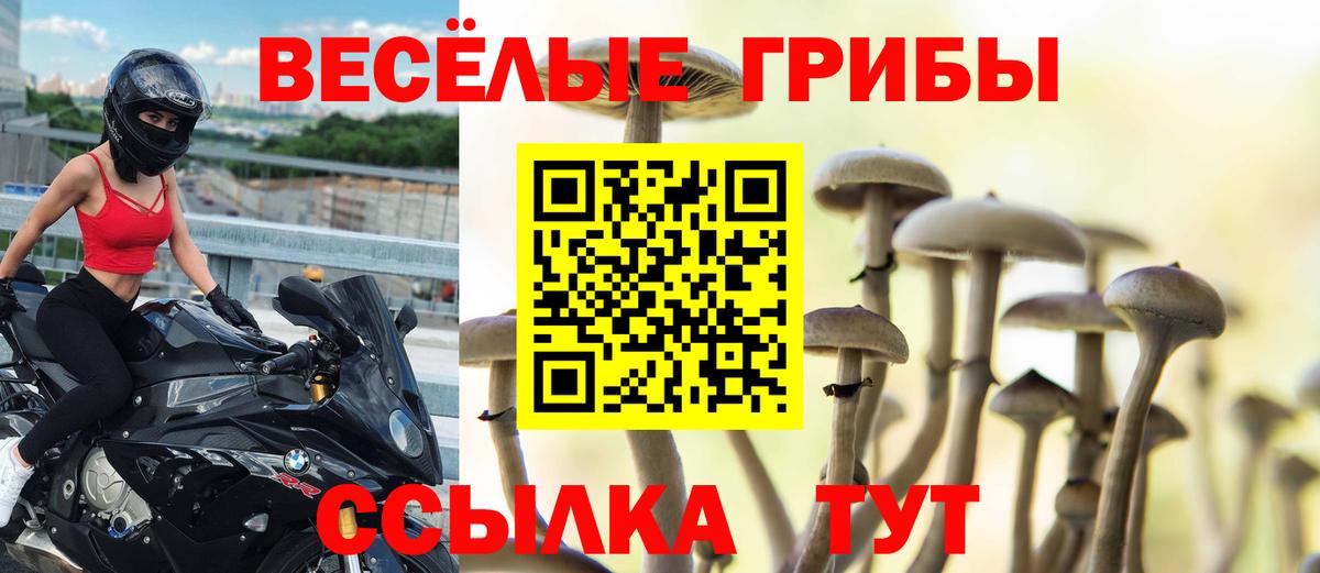 Майский  Галлюциногенные грибы GOLDEN TEACHER  Вход с VPN 